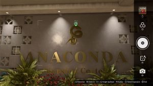 This is an example of the photograph players need to take in order to complete the picture 1 Shopping Center 1F (Anaconda)