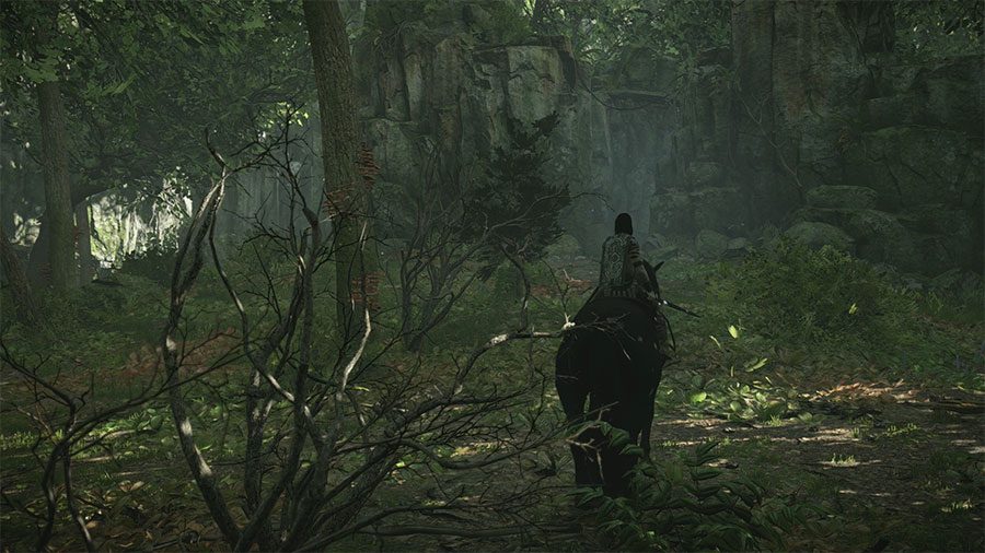 How To Get To The 12th Colossus In Shadow Of Colossus Walkway