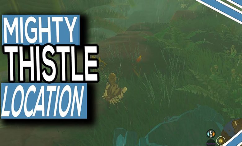 Where To Find Mighty Thistle In Zelda Tears Of The Kingdom